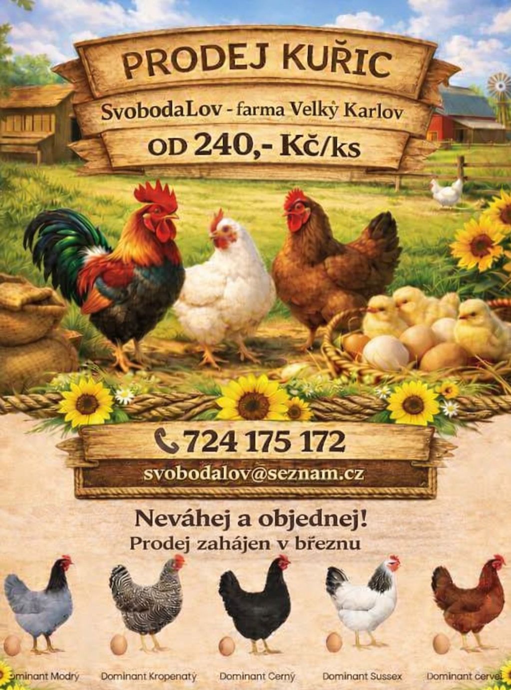 prodej slepic